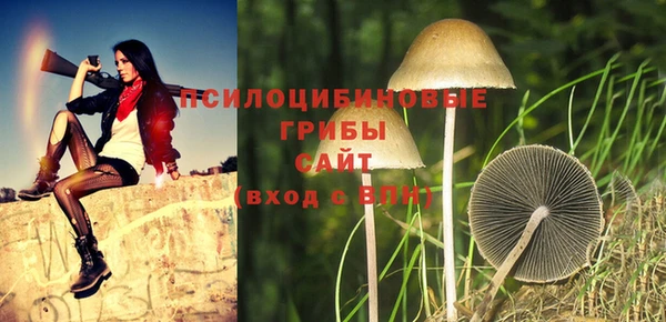 мяу мяу мука Абдулино