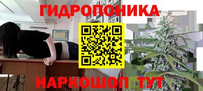 хмурый Краснознаменск